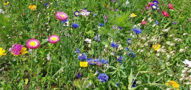 20180712_122529.jpg