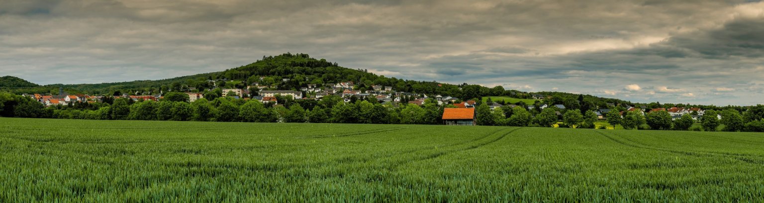 Das Bild zeigt eine Grüne Landschaft mit Hügeln, Häusern und bewölktem Himmel.