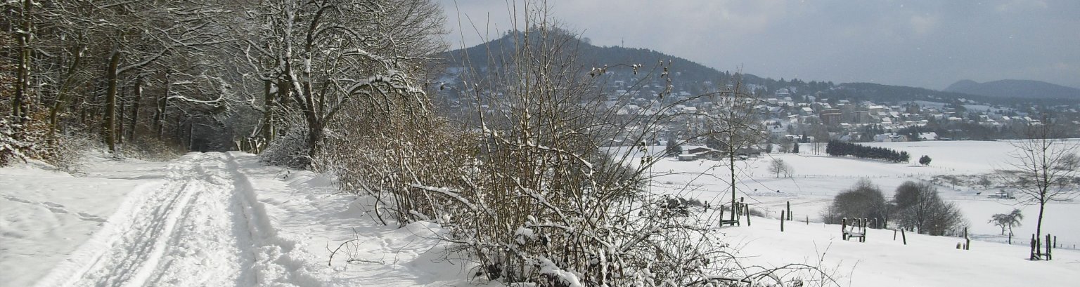 Auf dem Bild sieht man einen Wald in Niedenstein mit einem weg im vordergrund und rechts neben dem Weg ist eine art Mauer von Büschen und daneben ist ein Feld. Ganz links neben dem weg sind viele Bäume und ganz hinten hinter dem Feld sind Häuser. Alles ist ganz weiß voll mit Schneebedeckt.