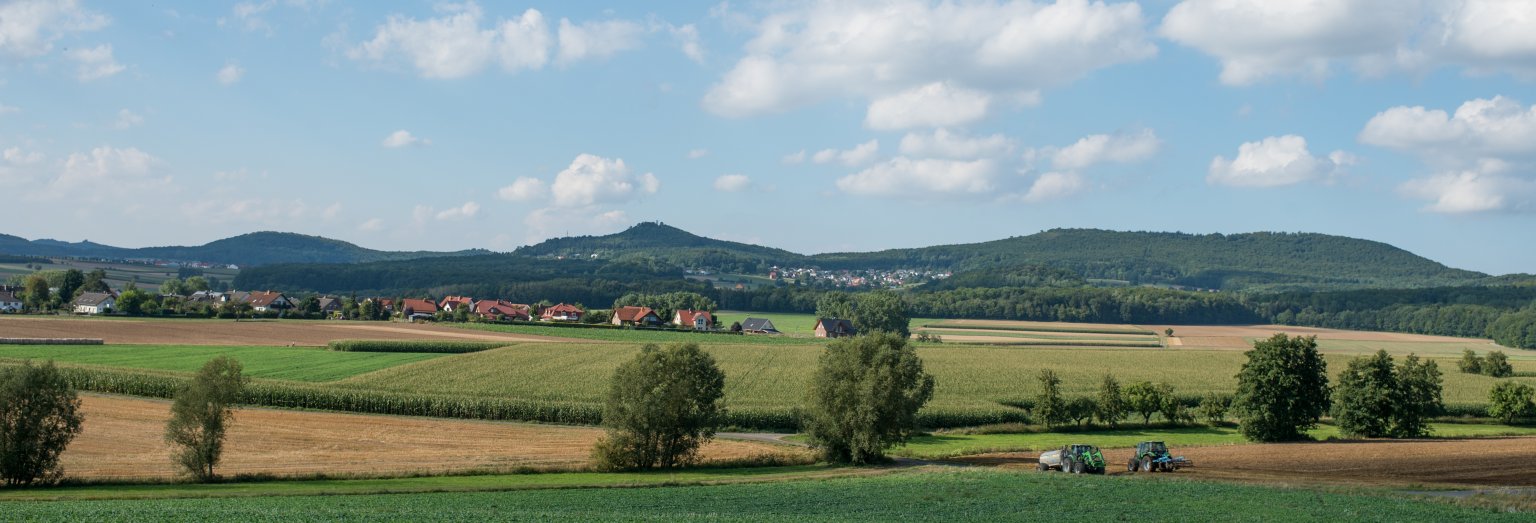 Blick nach Niedenstein