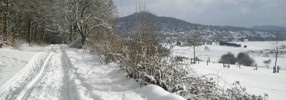 Winter in Niedenstein