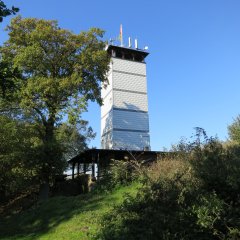 Die Sonne scheint es ist richtig schön grün im Wald und der Hessen Turm steht bereit.