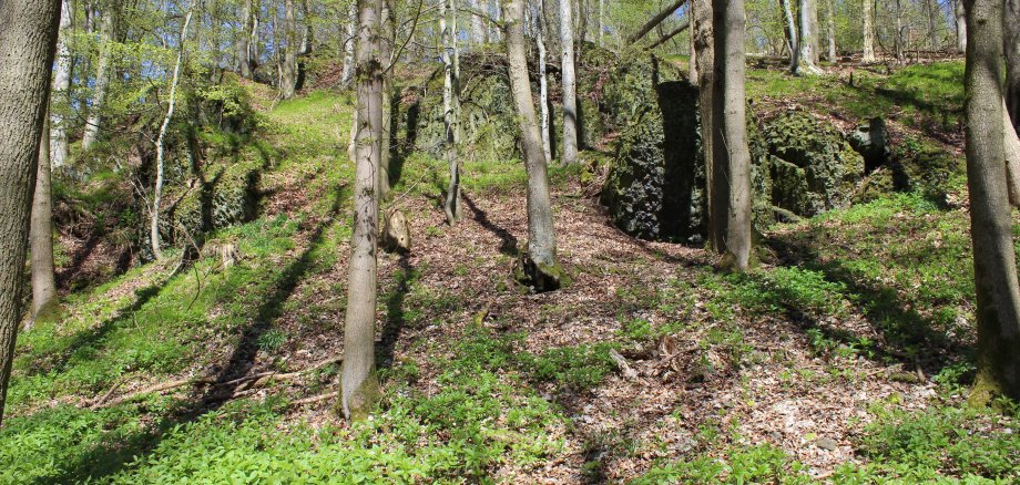 Felsvorsprünge der Altenburg